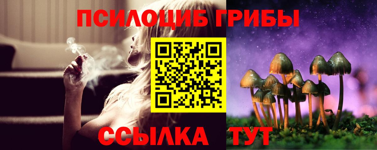 Псилоцибиновые грибы мицелий  Вход с VPN  Муравленко 